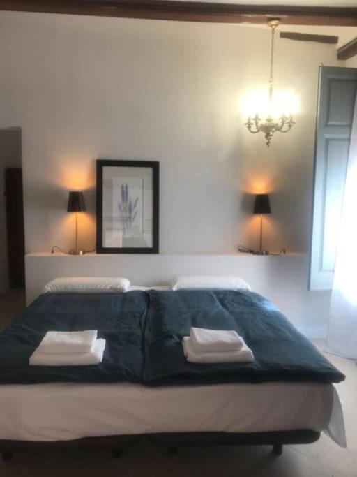 Ca Margalef - Casa Rural Con Encanto Ginestar Bagian luar foto