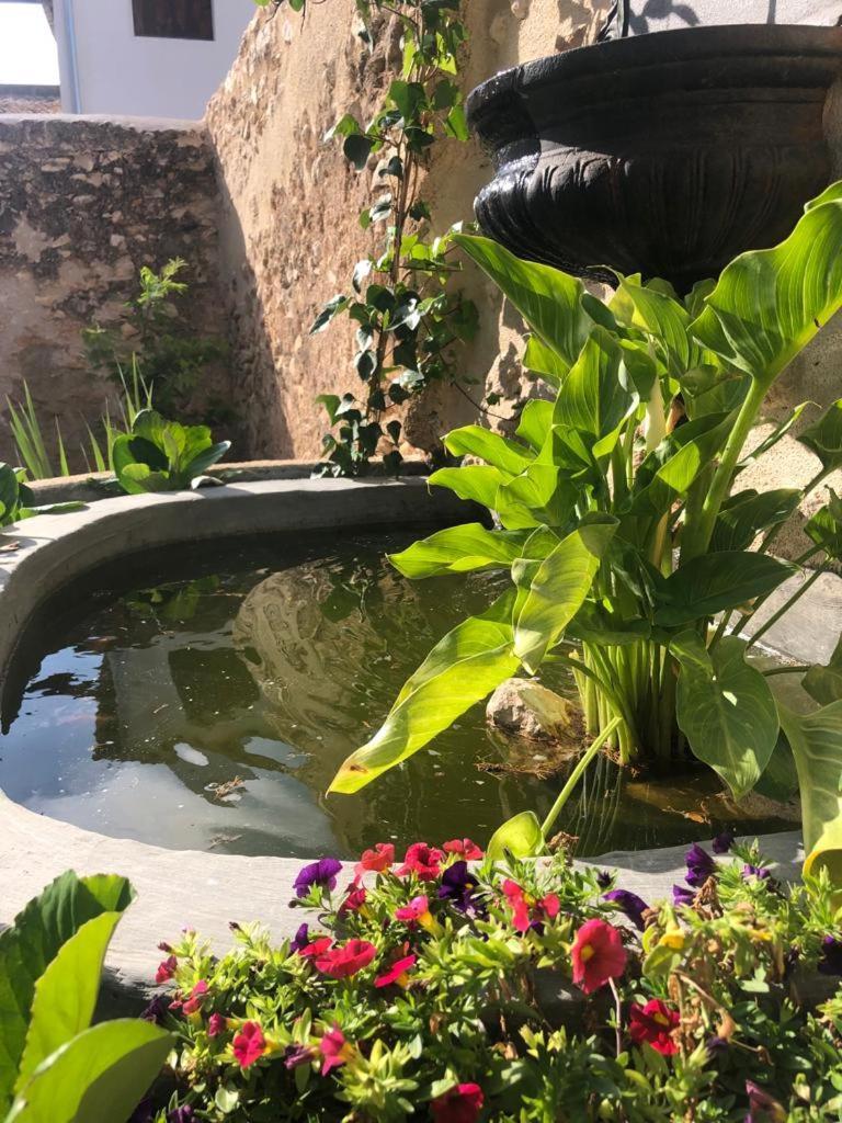 Ca Margalef - Casa Rural Con Encanto Ginestar Bagian luar foto